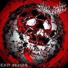 Exit Wounds mp3 Album by Sign OF Fall