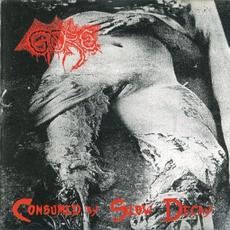 Consumed By Slow Decay (Limited Edition) mp3 Album by Gore