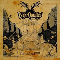 Place of Indulgence mp3 Album by Nekromatics