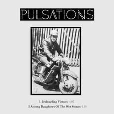 Pulsations mp3 Single by Pulsations