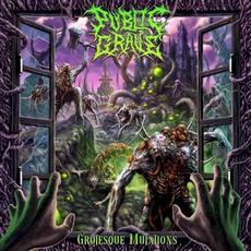 Grotesque Mutations mp3 Album by Public Grave