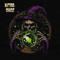 Futures Past - Part 1 mp3 Album by Nitro-Sage