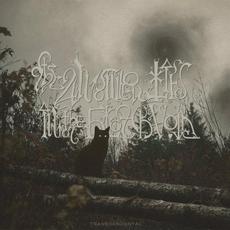 Transcendental mp3 Album by The Answer Lies in the Black Void