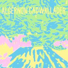 Trying Not to Have a Thought mp3 Album by Algernon Cadwallader