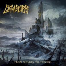 From Welkin to Tundra mp3 Album by GraveRipper