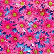 Black Madonna mp3 Album by The Austerity Program