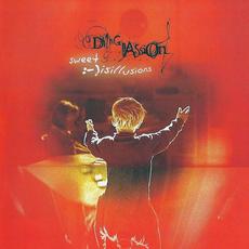 Sweet Disillusions mp3 Album by Dying Passion