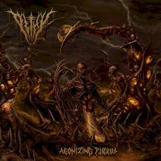 Agonizing Plexus mp3 Album by Pithy