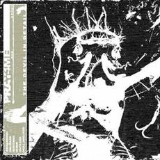 The devil in detail mp3 Album by pray4me