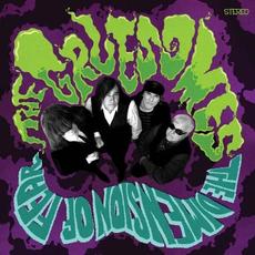 The Dimension Of Fear mp3 Album by The Gruesomes