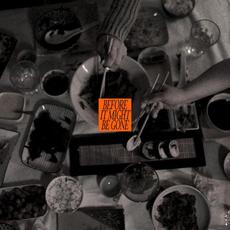 Before It Might Be Gone (Deluxe Edition) mp3 Album by The Vices