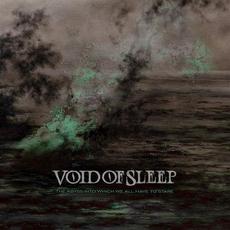 The Abyss into Which We All Have to Stare mp3 Album by Void of Sleep