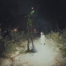 the theory of you mp3 Album by ivri