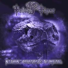 Nothing Compares To Metal mp3 Album by Velvet Viper