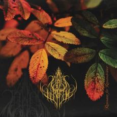 Remnants For Remembrance mp3 Album by Vials of Wrath