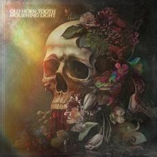 Mourning Light mp3 Album by Old Horn Tooth