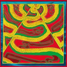 Perseverance Flow mp3 Single by Joshua Abrams & Natural Information Society