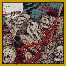 Passengers of the Void mp3 Album by My Minds Mine