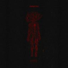 Hypostasis mp3 Album by Sunniva