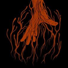 Age of Mycology mp3 Album by Moonstone