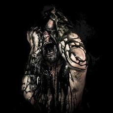 Profundis Omnis mp3 Album by Postmortal