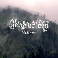 Uråldrad mp3 Album by Bergsvriden