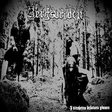 I vitterhetens becksvarta gömmen mp3 Album by Bergsvriden