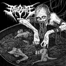 Vomiting In The Baptismal Pool mp3 Album by Fetid Zombie