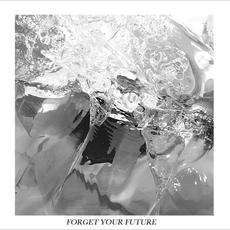 Forget Your Future mp3 Album by Neggy Gemmy