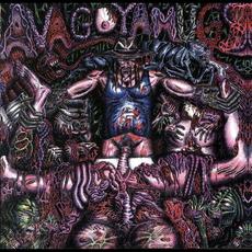 Avagoyamugs mp3 Album by Intense Hammer Rage