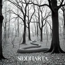 Nunca mp3 Single by Siddharta & 7 Lunas