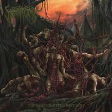 The Last Eightful Bastards mp3 Album by Dysmorfectomy