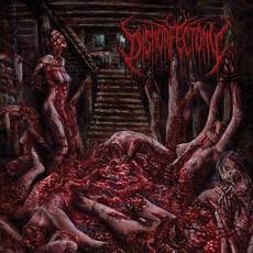Rapist Of Flesh (Re-Issue) mp3 Album by Dysmorfectomy