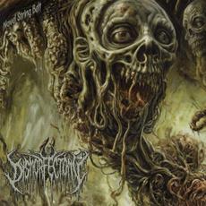 Navel String Belt mp3 Album by Dysmorfectomy