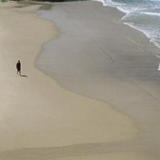 Here and Nowhere mp3 Album by The Autumn Defense