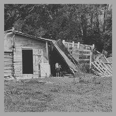 Dying Since The Day I Was Born mp3 Album by The Morning Bird