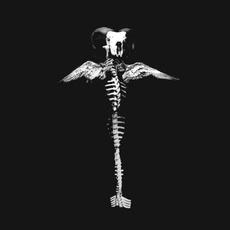 Howl and Filth mp3 Album by Generation of Vipers