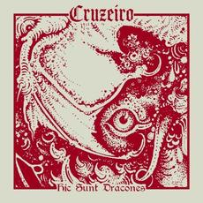 Hic Sunt Dracones mp3 Album by Cruzeiro