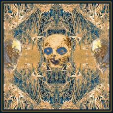 Úpal mp3 Album by Kostnatění