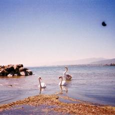 Loss Memory mp3 Album by Coma Cinema