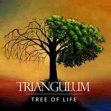 Tree of Life mp3 Album by Triangulum (2)