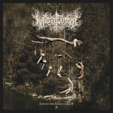 Knochengesänge II mp3 Album by Waldgeflüster