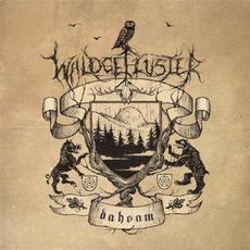 Dahoam mp3 Album by Waldgeflüster