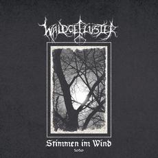 Stimmen im Wind 2020 mp3 Album by Waldgeflüster
