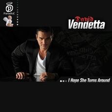 I Hope She Turns Around mp3 Single by David Vendetta