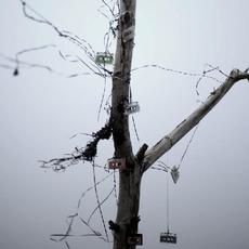 One Life mp3 Single by Smalltape