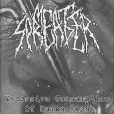 Excessive Consumption Of Human Flesh mp3 Album by Meat Spreader