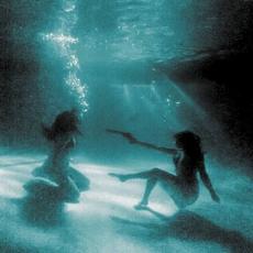 The Revenge of Evangeline mp3 Album by Die Spitz