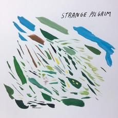 Strange Pilgrim mp3 Album by Strange Pilgrim