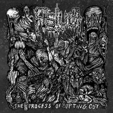 The Process Of Opting Out mp3 Album by Fistula
